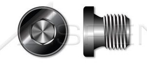 ME250-Z__98565.1631485728__09666.1721382495.386.513__71060.1738331623.386.513.jpg 1/8"-28 DIN 908, Metric, Pipe Plugs, Hex Socket Drive, Straight Thread, Steel, Plain