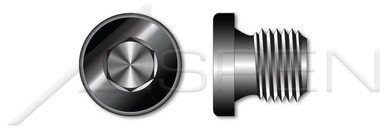 1/8"-28 DIN 908, Metric, Pipe Plugs, Hex Socket Drive, Straight Thread, Steel, Plain