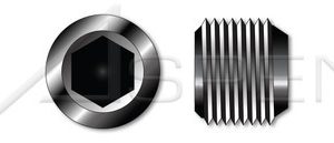 UB013-Z__19946.1631503621__46798.1721383161.386.513__89794.1738331625.386.513.jpg M10 DIN 906, Metric, Pipe Plugs, Tapered, Hex Socket Drive, Steel, Plain, Unbrako